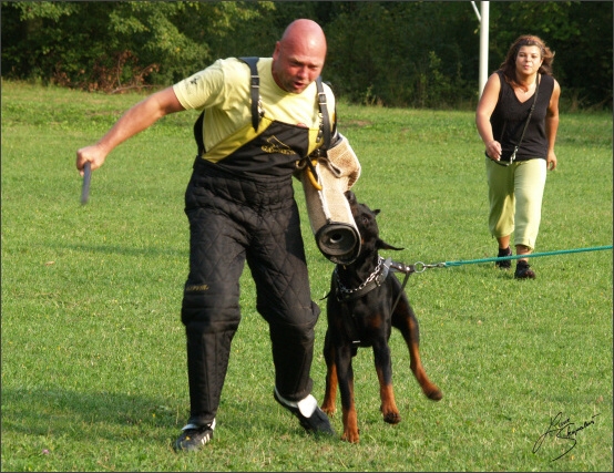 Summer training camp - Jelenec - 2007